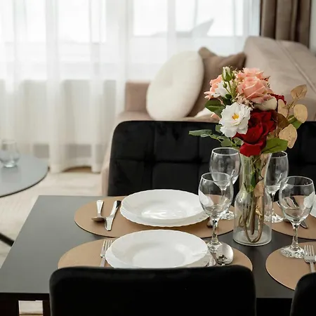 Elegant Mieszczanska With Air Conditioning, & Gym By Renters Prestige Daire