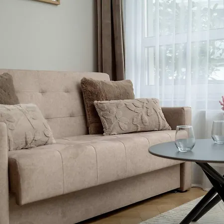 Elegant Mieszczanska With Air Conditioning, & Gym By Renters Prestige *