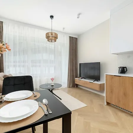 Elegant Mieszczanska With Air Conditioning, & Gym By Renters Prestige Daire