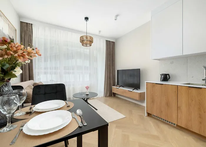 Elegant Mieszczanska With Air Conditioning, & Gym By Renters Prestige Apartment